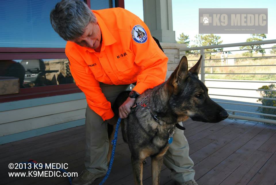 KateCheckingKenaisPulse